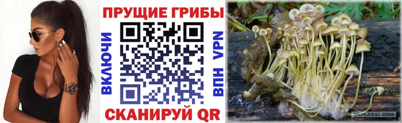 цены наркотик  Котовск  Псилоцибиновые грибы мухоморы 